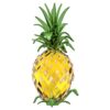 Ananas Idyllia Ananas Idyllia