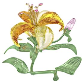 Florere Lily Large