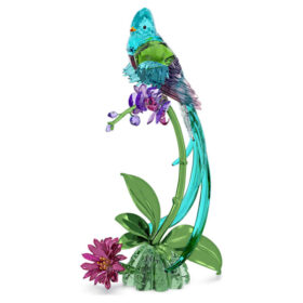 Idyllia Quetzal i Orchid