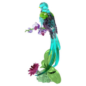 Idyllia Quetzal i Orchid