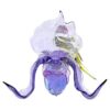 Idyllia: zięba Goulda i orchidea Idyllia: zięba Goulda i orchidea