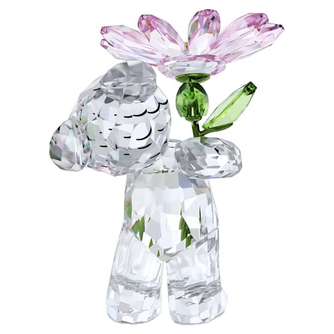 Kris Bear – stokrotka dla Ciebie Kris Bear – stokrotka dla Ciebie