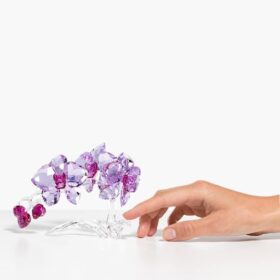 Kryształowe kwiaty – orchidea