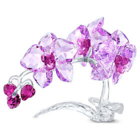 Kryształowe kwiaty – orchidea