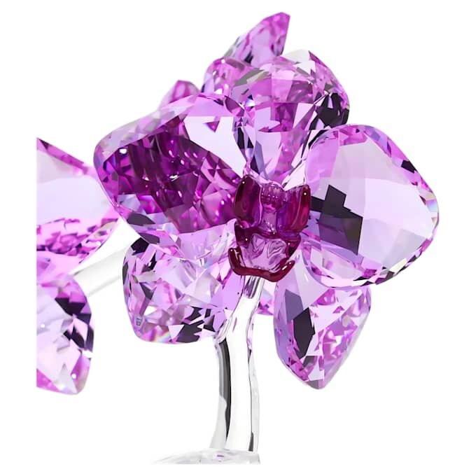 Kryształowe kwiaty – orchidea Kryształowe kwiaty – orchidea