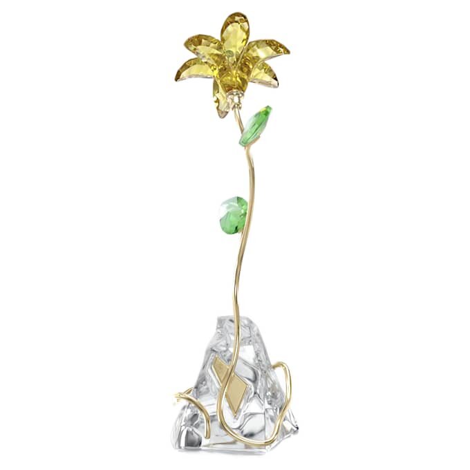 Lilia Florere Lilia Florere