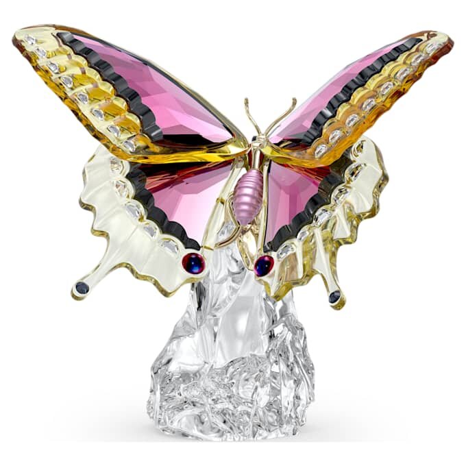 Motyl Idyllia Motyl Idyllia