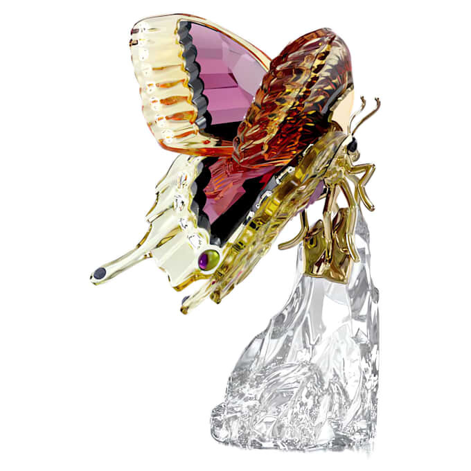 Motyl Idyllia Motyl Idyllia