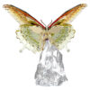 Motyl Idyllia Motyl Idyllia