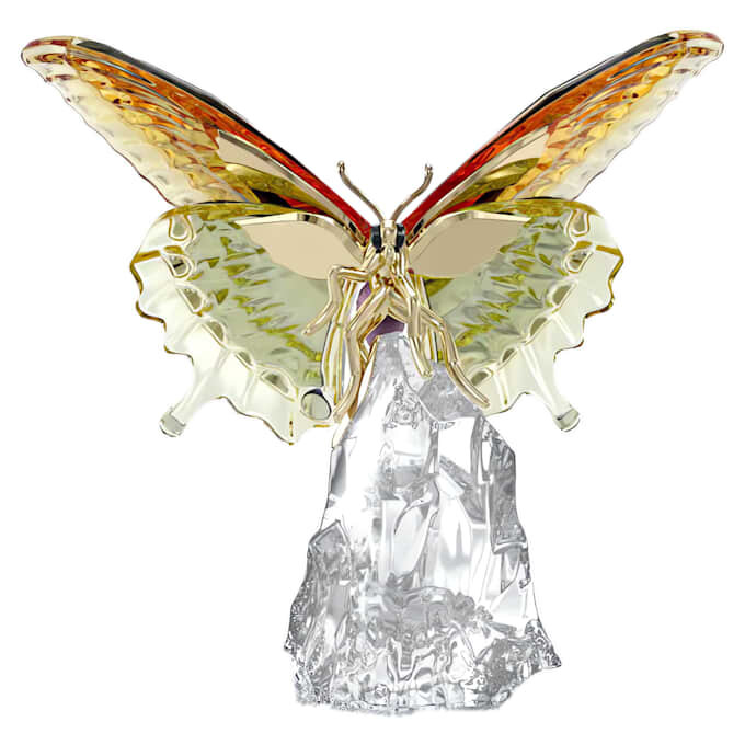 Motyl Idyllia Motyl Idyllia