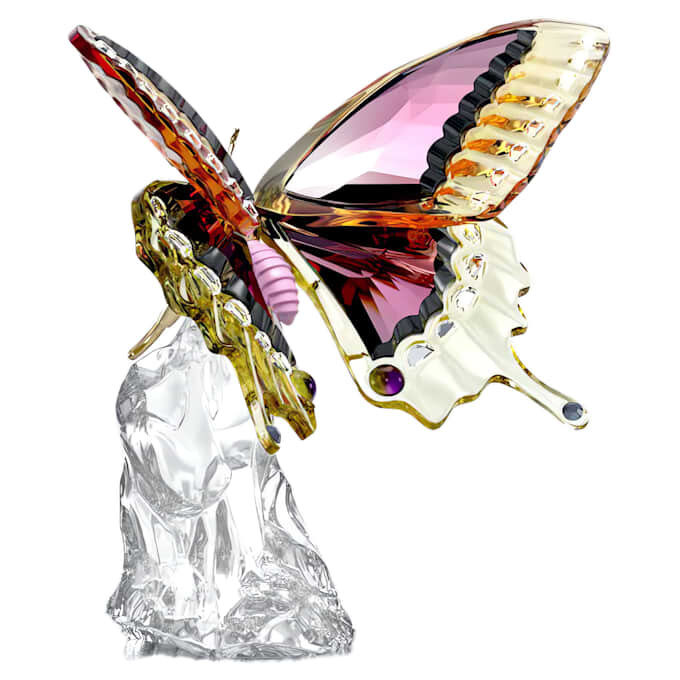 Motyl Idyllia Motyl Idyllia