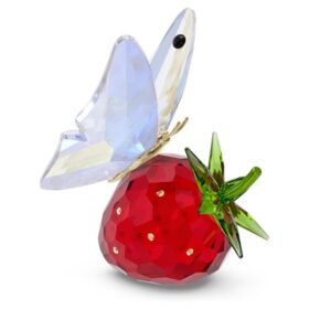 Motyl Idyllia i truskawka