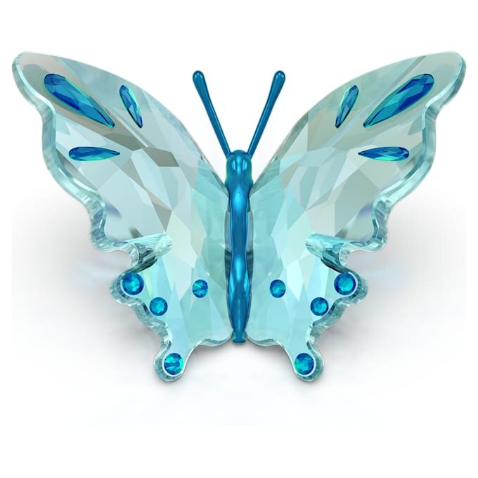 Motyl Idyllia w kolorze turkusowym Motyl Idyllia w kolorze turkusowym