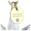 Ozdoba 3D z edycji rocznej 2025 Ozdoba 3D z edycji rocznej 2025