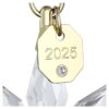 Zestaw ozdób 3D z edycji rocznej 2025