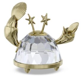 Znak zodiaku Rak